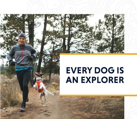 ruffwear lightweight dog harness review