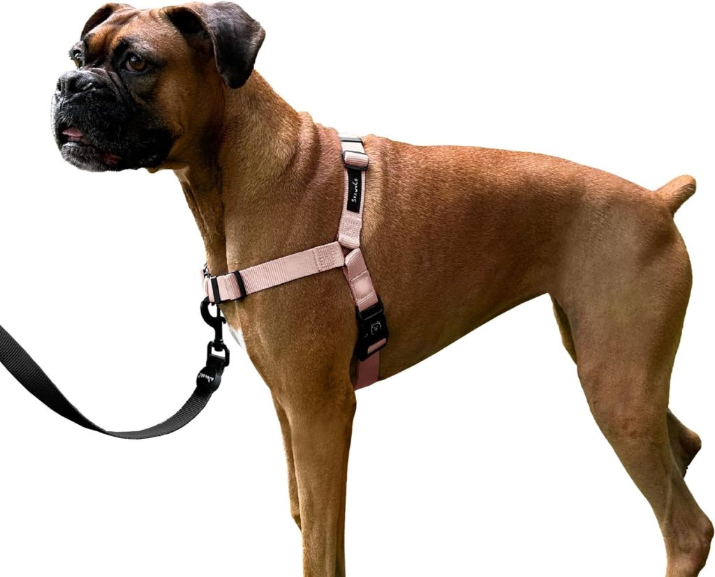 ShawnCo Dream Walk No-Pull Dog Harness- Adjustable, Comfortable, Easy to Use Pet Halter to Help Stop Pulling for Small, Medium and Large Dogs (Rose Gold, M)