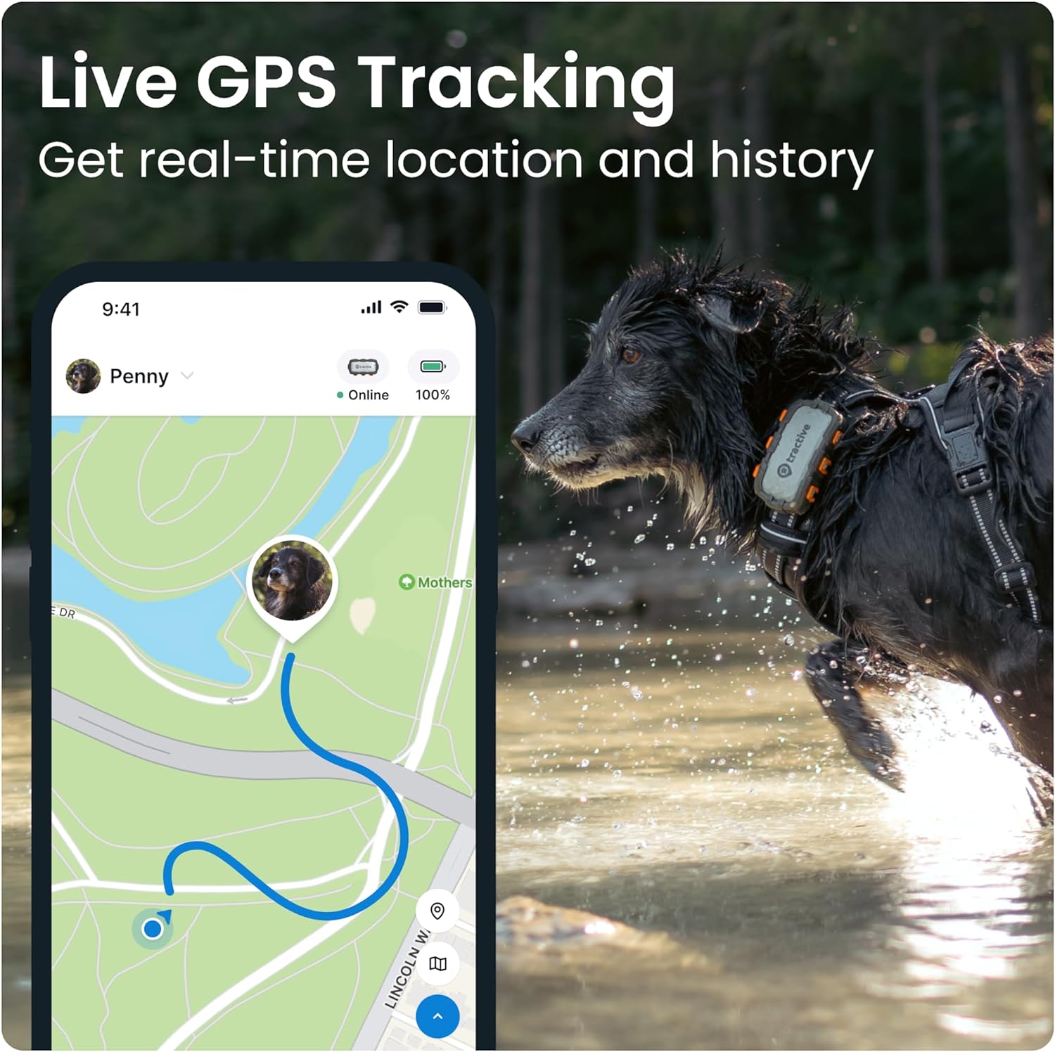 Tractive XL GPS Tracker Health Monitoring for Dogs (50 lbs+) - Market Leading Pet GPS Location Tracker | Wellness Escape Alerts | Waterproof | Works with Any Collar (Adventure Edition)