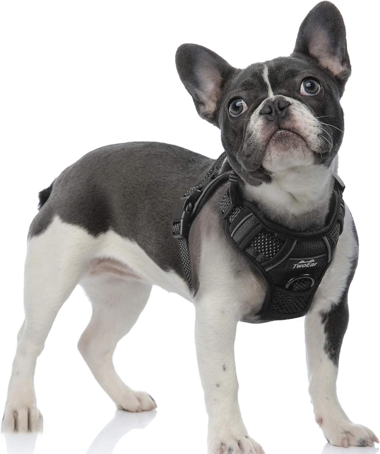 TwoEar Dog Harness, No Pull Reflective Harness Front Clip Easy Control Handle Adjustable Soft Padded Pet Vest for Puppy Small Medium Large Dogs Breed Pet(Small,Black)
