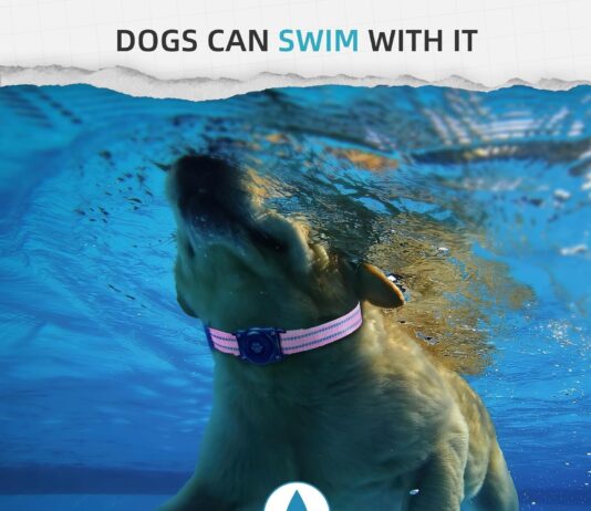 vebiso gps tracker for dogs review