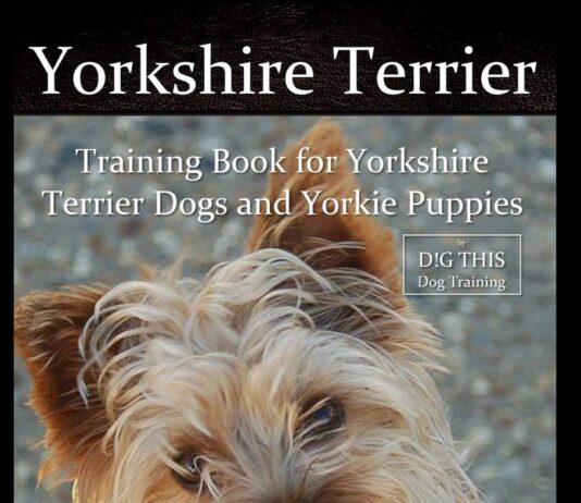 yorkshire terrier training book review