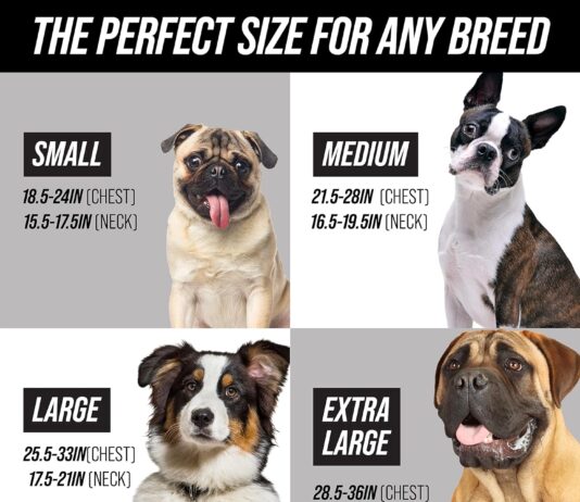 5 no pull dog harnesses a comparative review