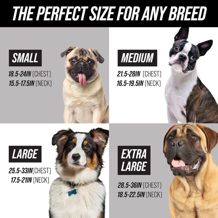 5 no pull dog harnesses a comparative review