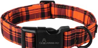 aring pet dinosaur dog collar cute dog collar for small dogs adjustable comfortable cotton boy dog collars for small med