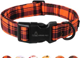 aring pet dinosaur dog collar cute dog collar for small dogs adjustable comfortable cotton boy dog collars for small med