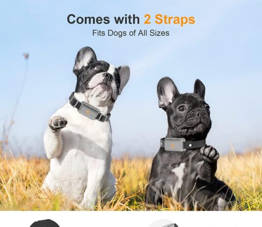 bark collar for dogs anti barking training collar with 3 adjustable sensitivity and 7 intensity beep vibration for small