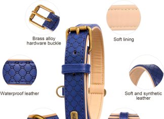 basic classic luxury padded leather dog collar rust proof brass strong leather collar heavy duty alloy hardware best for