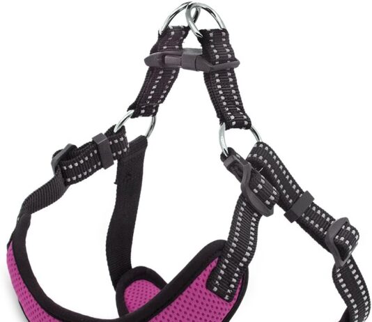 best pet supplies voyager harness review