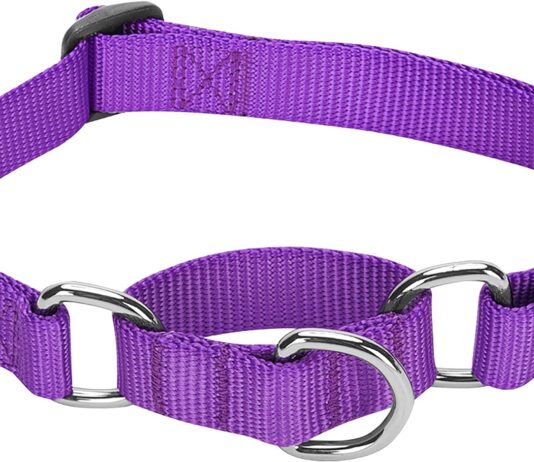 blueberry pet essentials martingale safety training dog collar military green medium heavy duty nylon adjustable collars