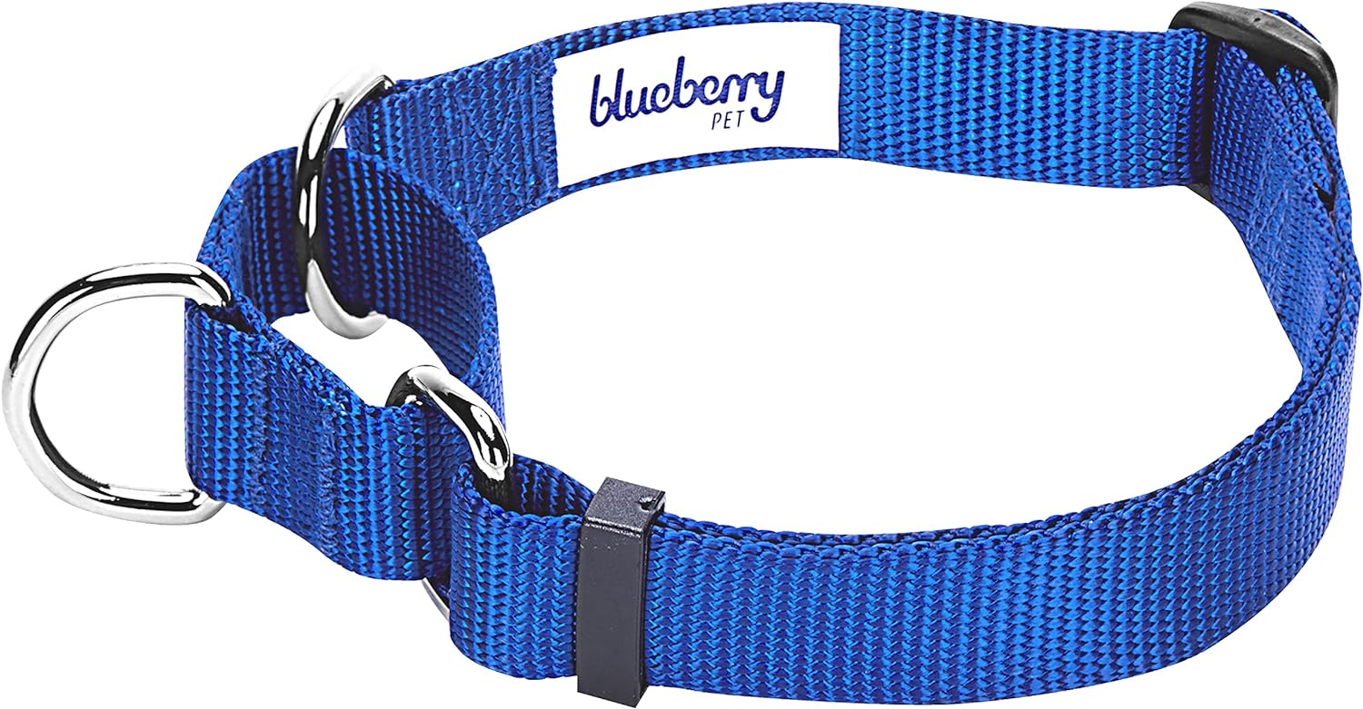 Blueberry Pet Essentials Martingale Safety Training Dog Collar, Military Green, Medium, Heavy Duty Nylon Adjustable Collars for Dogs