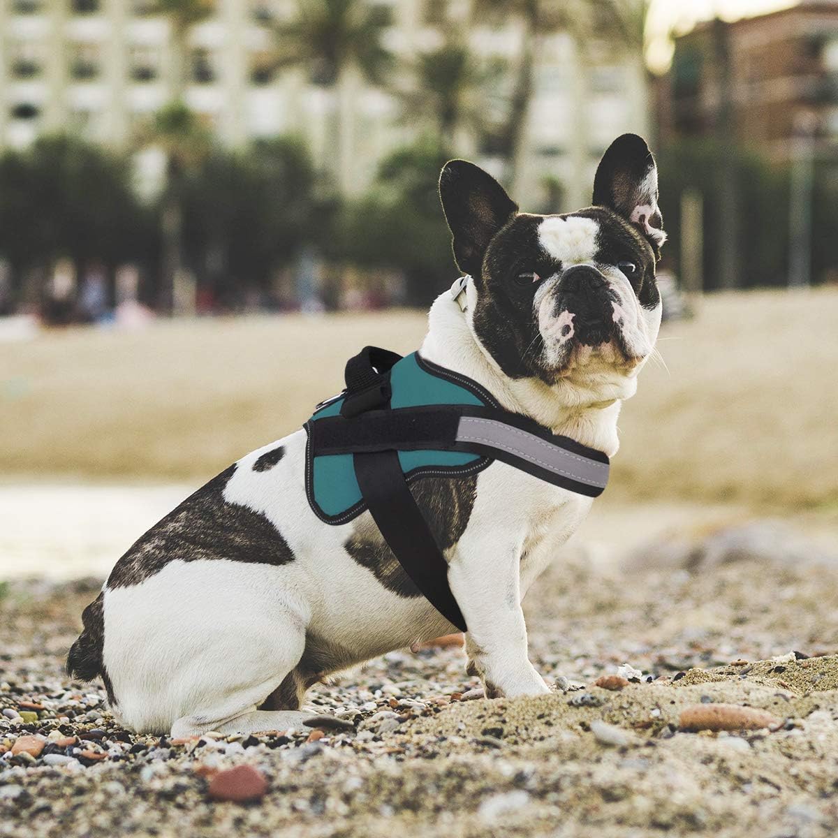 thumbnail image 2 of No Pull Dog Harness And Leash Set Soft, Adjustable Reflective 2 of 14