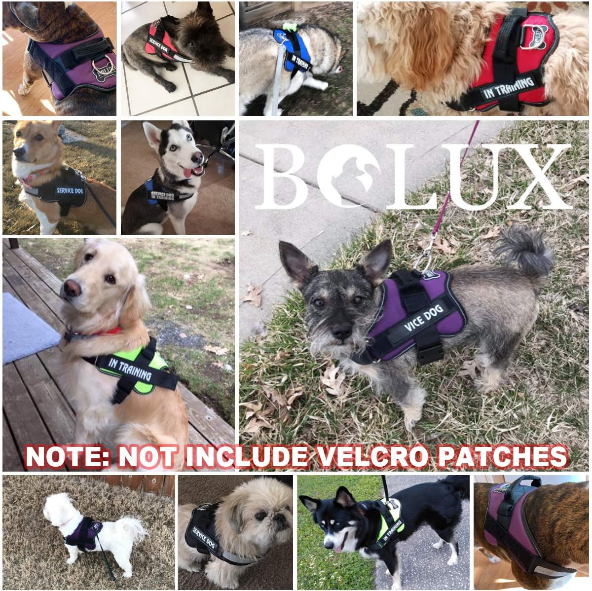 Bolux Dog Harness, No-Pull Reflective Dog Vest, Breathable Adjustable Pet Harness with Handle for Outdoor Walking - No More Pulling, Tugging or Choking (Turquoise, L)