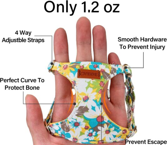 chede no pull floral pattern dog harness review