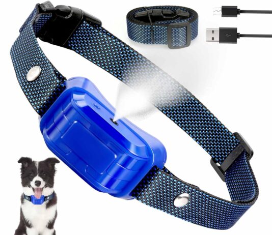 citronella bark collar for dogs no remote spray dog training collar humane citronella dog barking collars effective anti