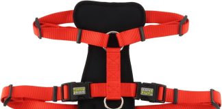 coastal pet walk right front connect no pull padded dog harness adjustable dog harness small large dog harness comfortab