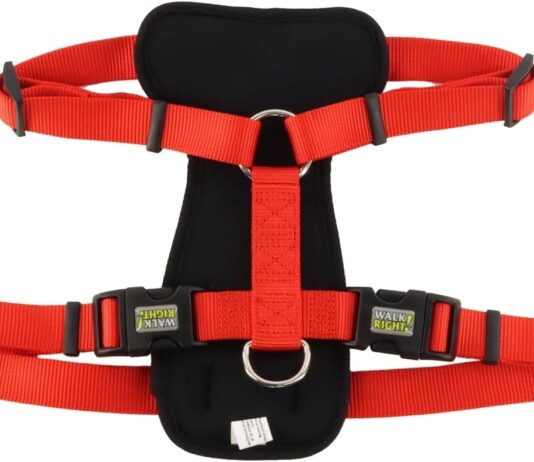 coastal pet walk right front connect no pull padded dog harness adjustable dog harness small large dog harness comfortab