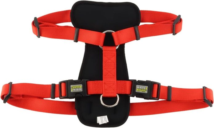 coastal pet walk right front connect no pull padded dog harness adjustable dog harness small large dog harness comfortab