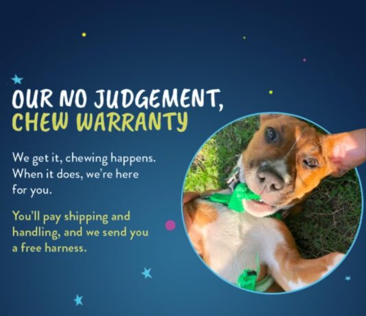 comparing 3 dog harnesses freedom rabbitgoo and customized christmas gingerbread cane