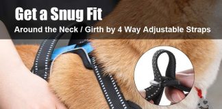 comparing 5 no pull dog harnesses comfort reflectivity control