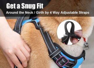 comparing 5 no pull dog harnesses comfort reflectivity control