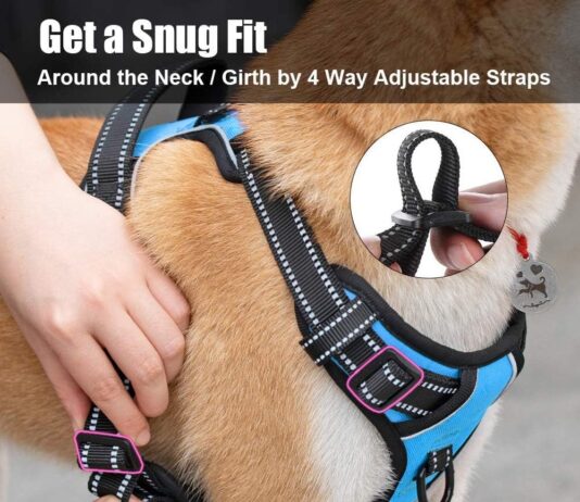 comparing 5 no pull dog harnesses comfort reflectivity control