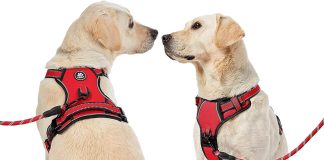 comparing 5 no pull dog harnesses for large dogs reviews comparisons
