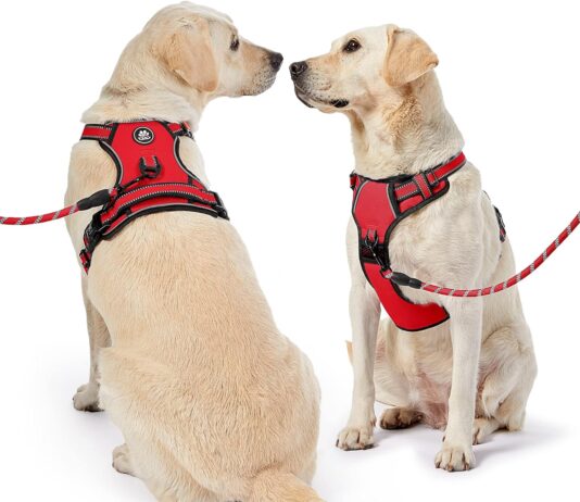 comparing 5 no pull dog harnesses for large dogs reviews comparisons
