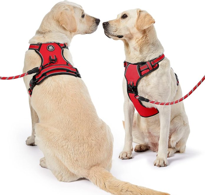 comparing 5 no pull dog harnesses for large dogs reviews comparisons
