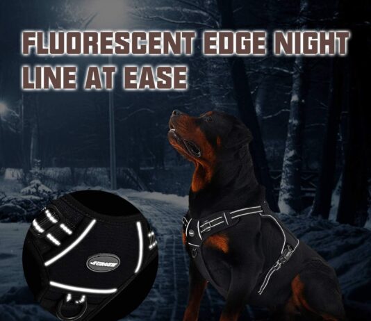 comparing 5 reflective dog harnesses