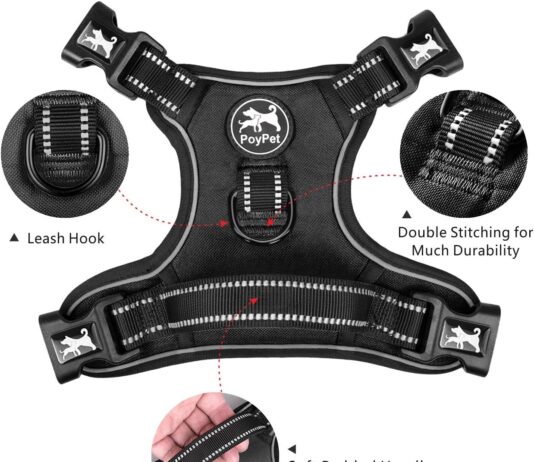 comparing 5 top rated dog harnesses features performance and comfort