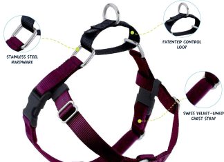 comparing and reviewing 5 dog harnesses a comprehensive analysis