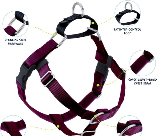 comparing and reviewing 5 dog harnesses a comprehensive analysis