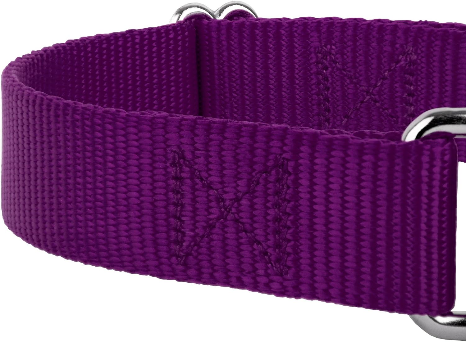 Country Brook Design - Purple Martingale Heavy Duty Nylon Dog Collar - 21 Vibrant Color Options (1 Inch Width, Medium)