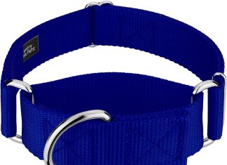 country brook petz 1 12 inch martingale heavy duty nylon adjustable dog collar for small medium large breeds vibrant 17