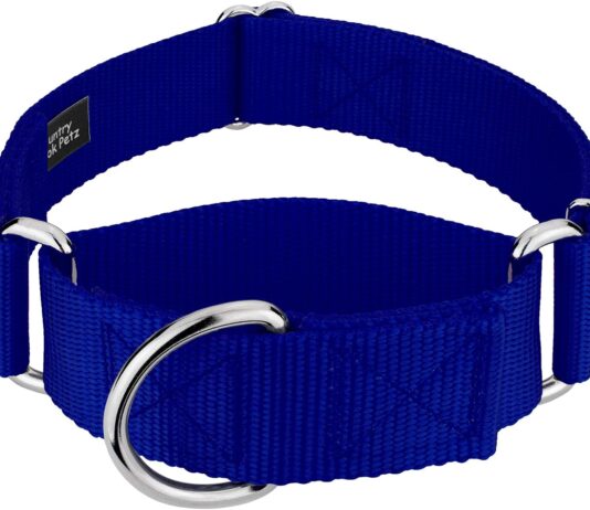 country brook petz 1 12 inch martingale heavy duty nylon adjustable dog collar for small medium large breeds vibrant 17 