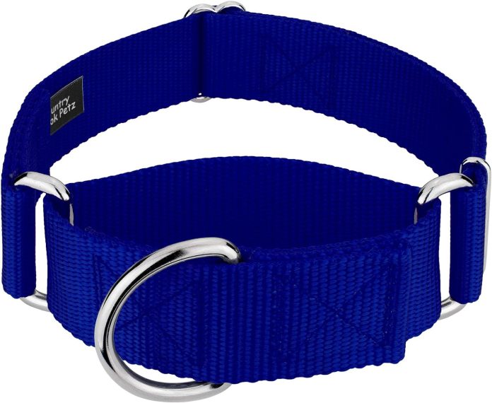 country brook petz 1 12 inch martingale heavy duty nylon adjustable dog collar for small medium large breeds vibrant 17