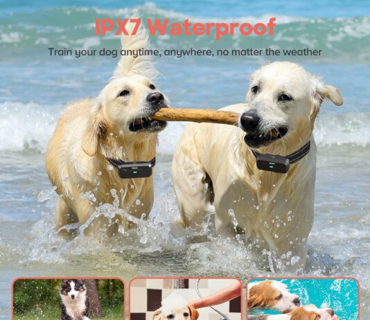 dog shock collar dog training collar with remote 1600ft 3 training modes with 99 adjustable levels rechargeable waterpro