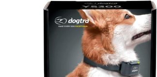 dogtra ys300 rechargeable waterproof compact no bark collar