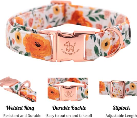 Elegant Little Tail Dog Collar Review elegant little tail dog collar sunflower pattern pet collar durable cute dog collars summer fall female pet gift adjusta