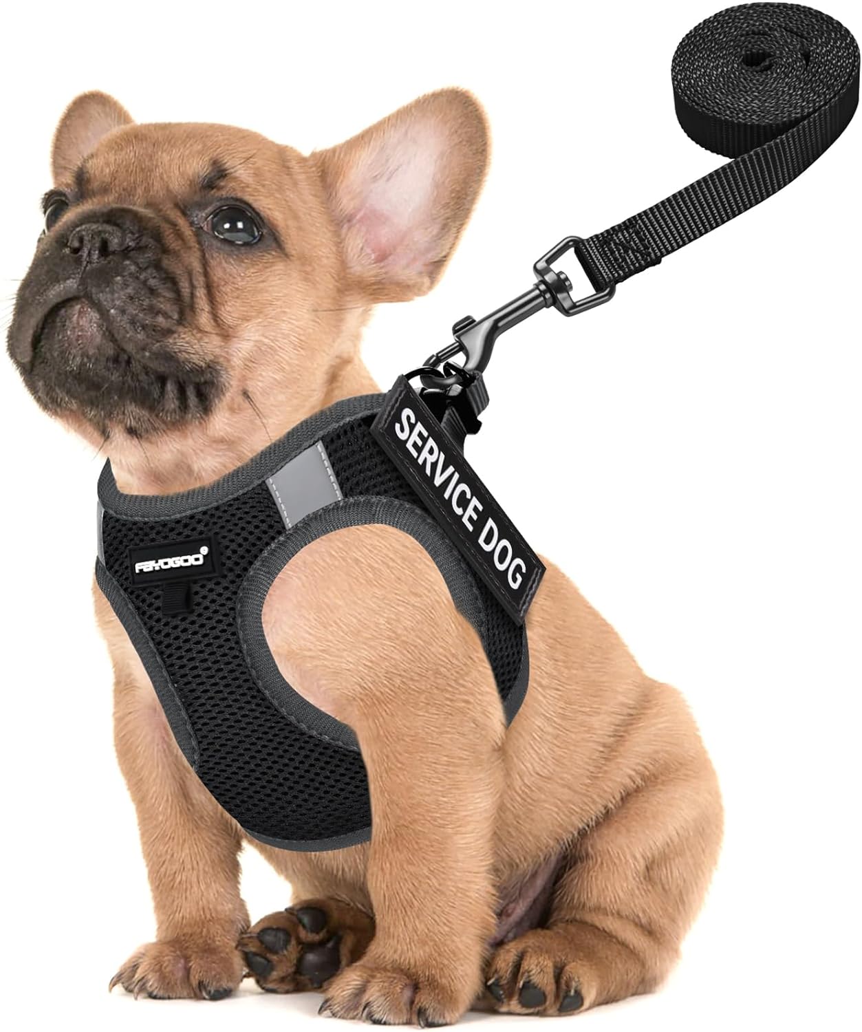 FAYOGOO Service Dog Vest for Small and Medium Breed - Lightweight Dog Harness with 3PCS Removable Patches - Puppy Harness for Walking,Training