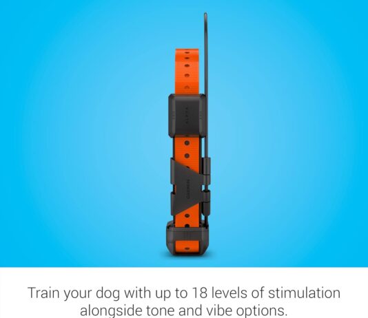 garmin alpha tt 25 gps dog tracking and training collar