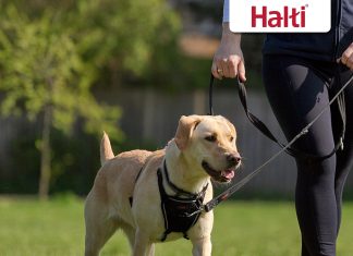 halti no pull harness to stop your dog pulling on the leash adjustable lightweight and easy to use reflective dog traini