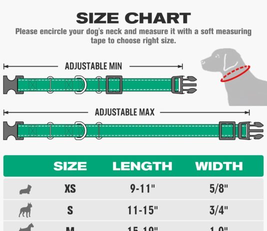 joytale martingale collar for dogs reflective heavy duty dog collar for safety quick release buckle adjustable nylon col