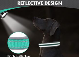 joytale neoprene padded dog collars for medium dogs 11 colors reflective wide pet collars with durable metal belt buckle