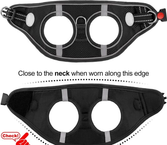 joytale step in dog harness review