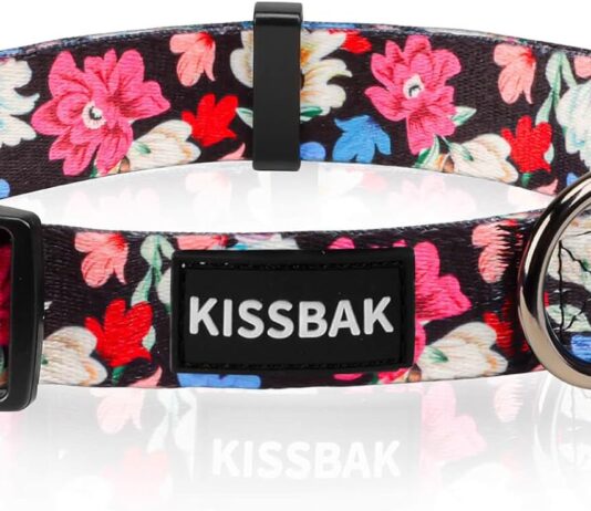 kissbak dog collar for medium dogs special design cute girl dog pet collar soft adjustable fancy floral girl puppy dog c