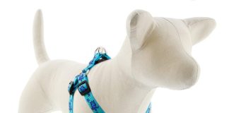 lupinepet originals 34 turtle reef 10 14 martingale collar for small dogs