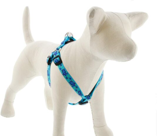 lupinepet originals 34 turtle reef 10 14 martingale collar for small dogs