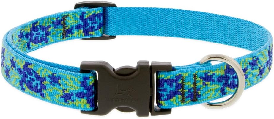 LupinePet Originals 3/4 Turtle Reef 10-14 Martingale Collar for Small Dogs